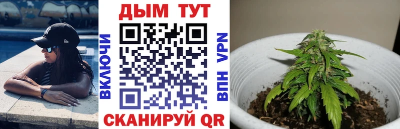 закладка  Гвардейск  MEGA ТОР  МАРИХУАНА гибрид 